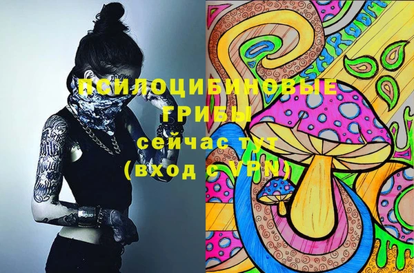 стафф Переславль-Залесский