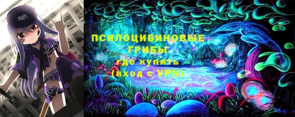 стафф Переславль-Залесский
