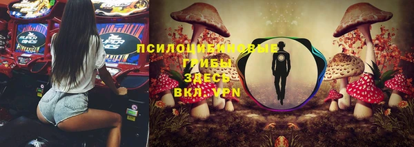 бошки Пестово